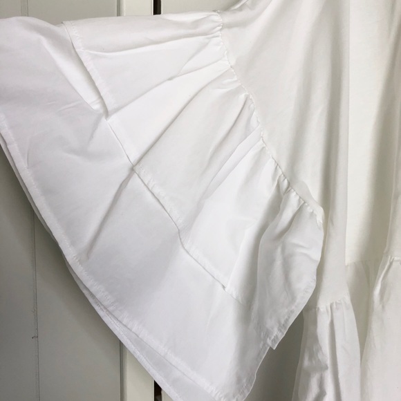 Zara Ruffle Sleeve Top - Picture 2 of 3